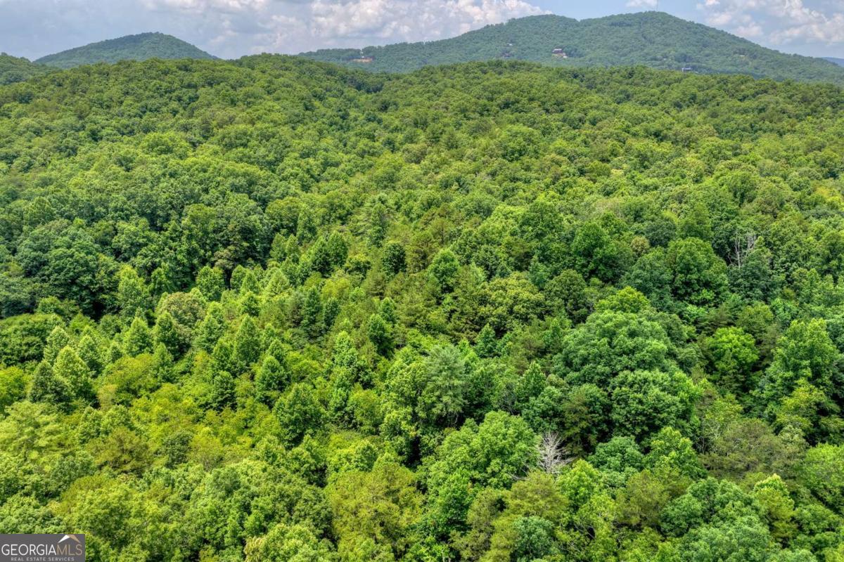 0 Scots Glen Road Mineral Bluff GA 30559
