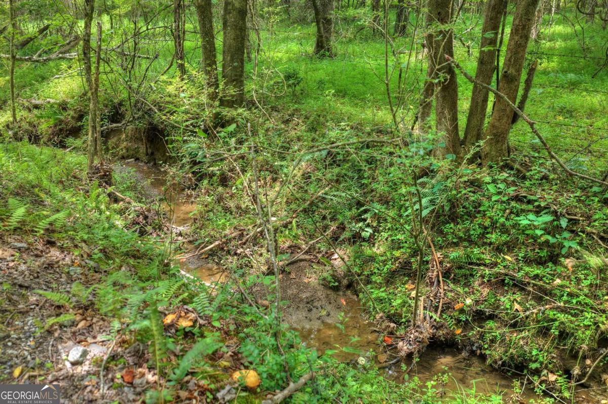 0 Scots Glen Road Mineral Bluff GA 30559