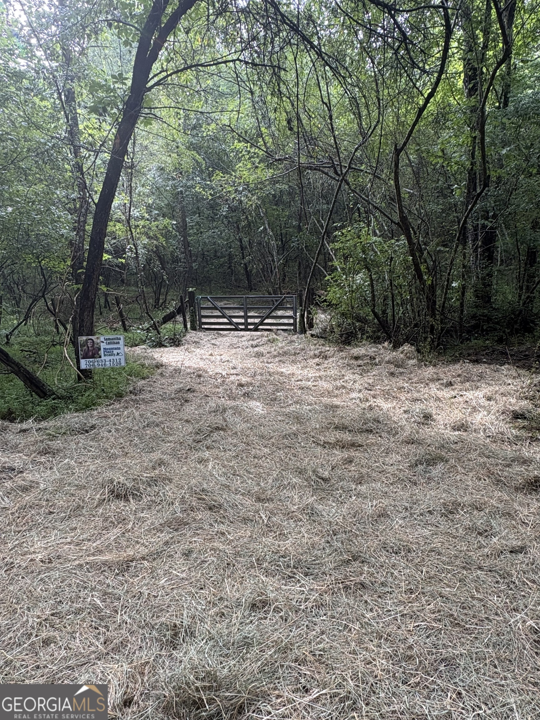 0 Scots Glen Road Mineral Bluff GA 30559