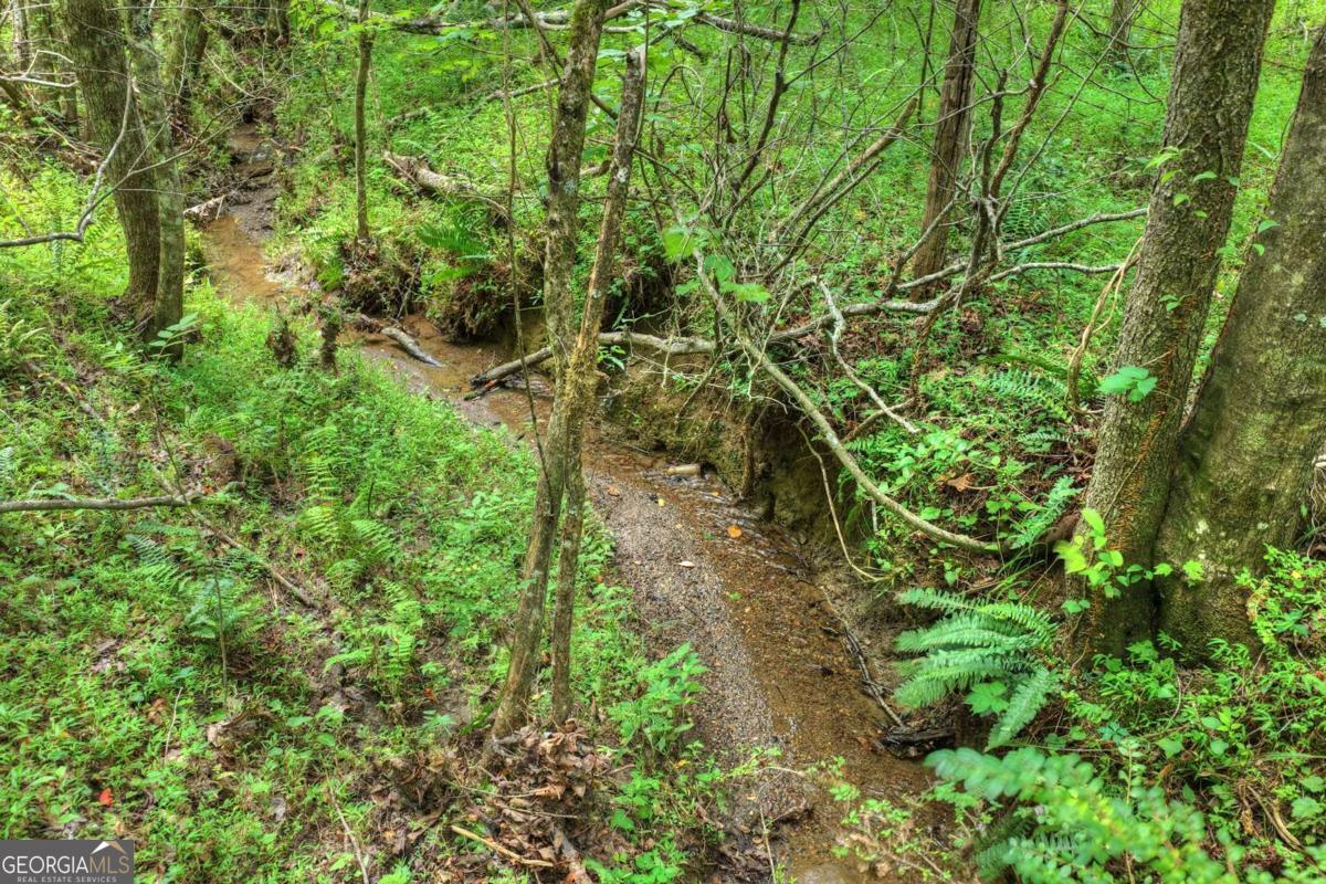 0 Scots Glen Road Mineral Bluff GA 30559