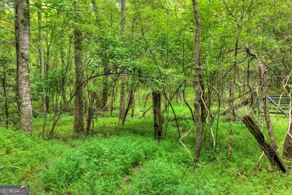 0 Scots Glen Road Mineral Bluff GA 30559
