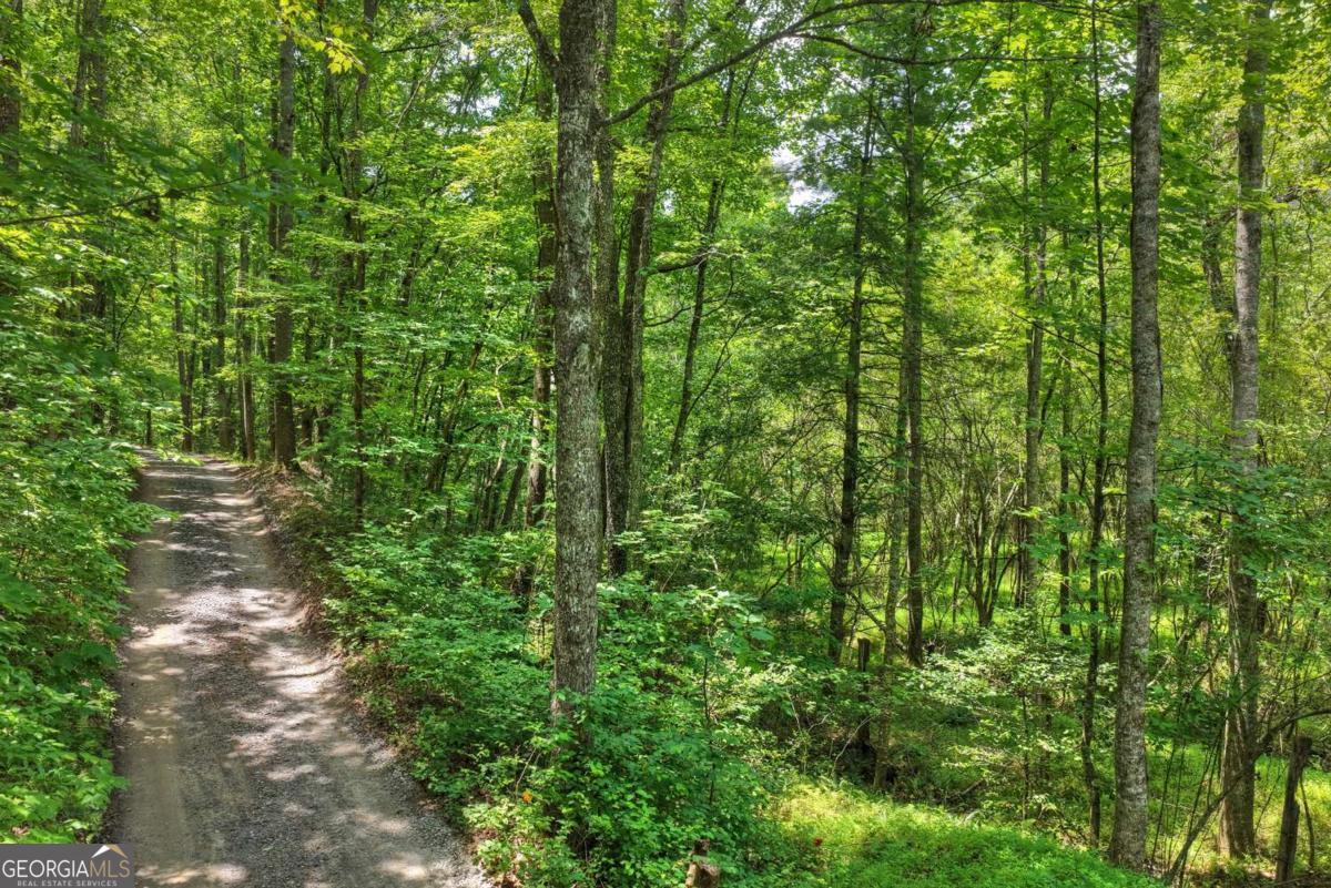0 Scots Glen Road Mineral Bluff GA 30559