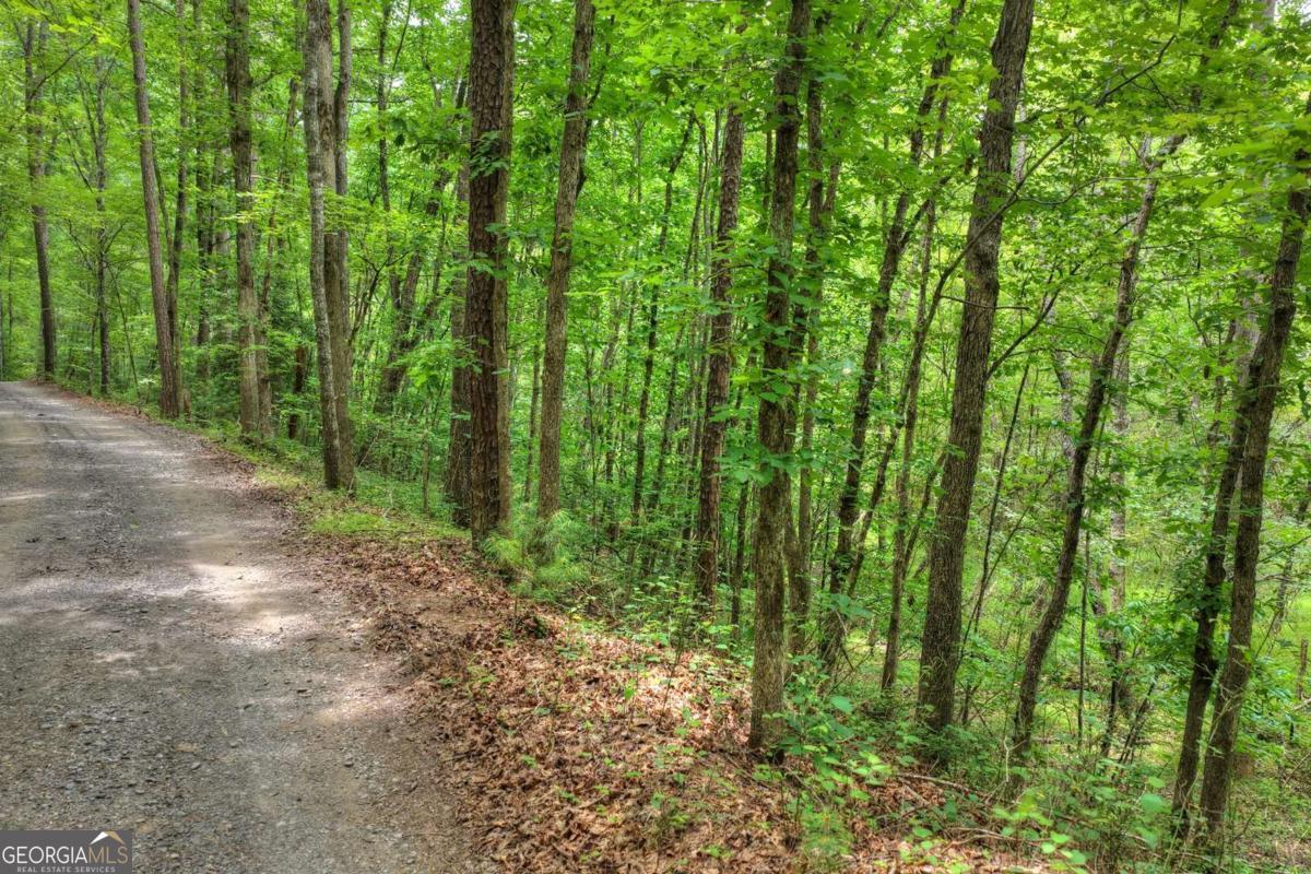 0 Scots Glen Road Mineral Bluff GA 30559