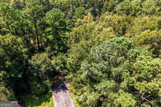 Lot 6b Dufour Road St. Marys GA 31558