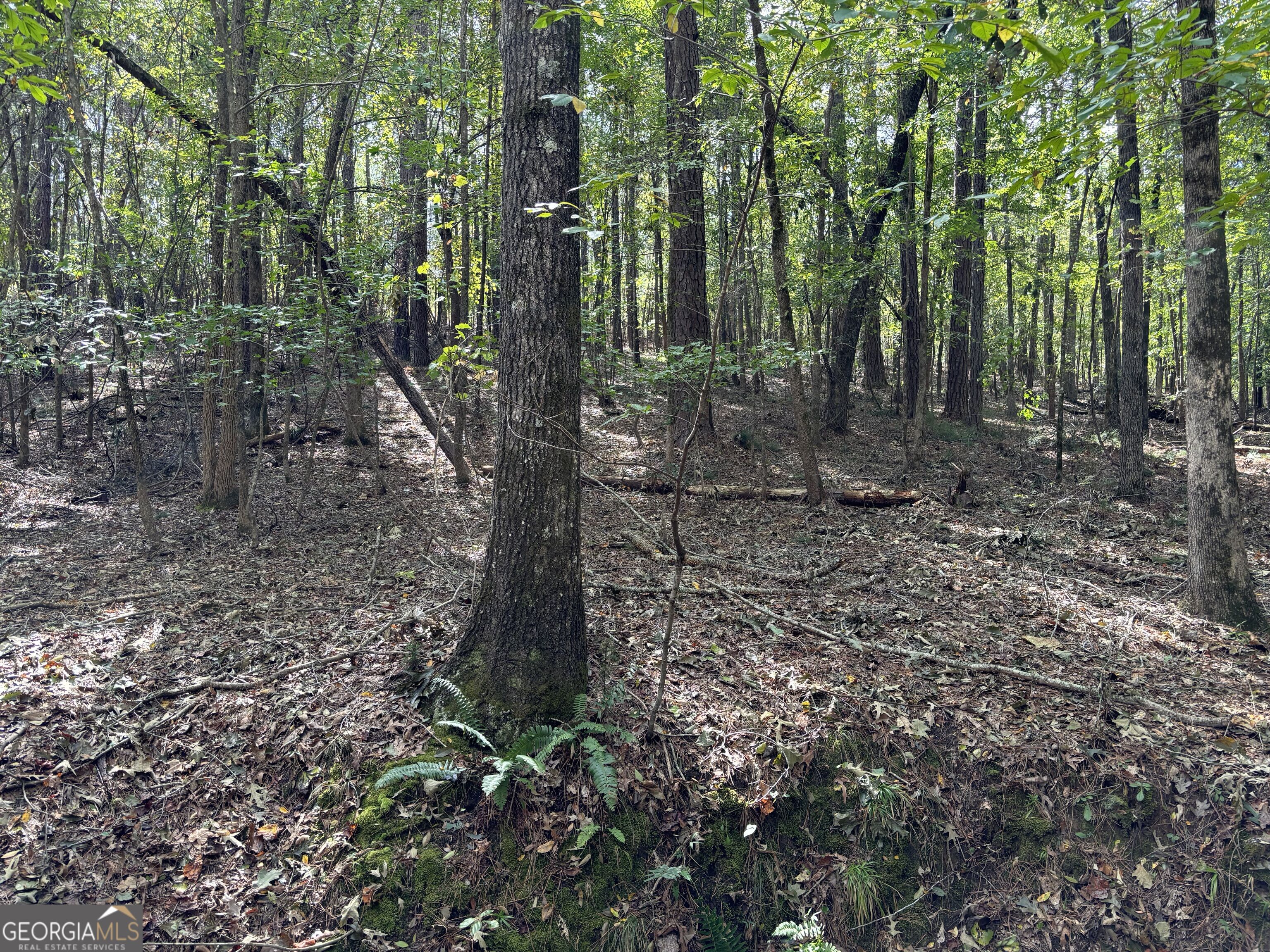 0 N Pointe Drive Tignall GA 30668