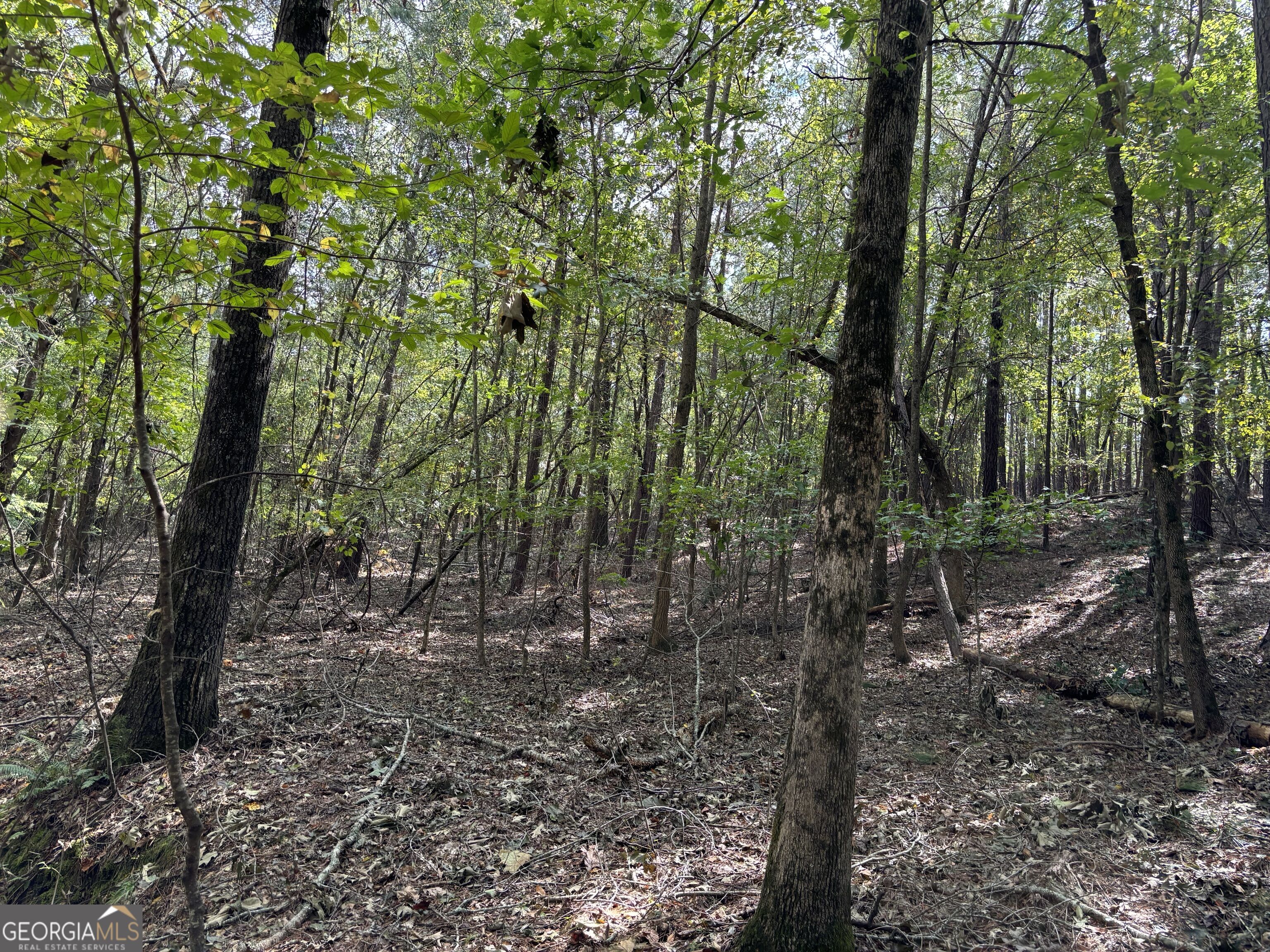 0 N Pointe Drive Tignall GA 30668