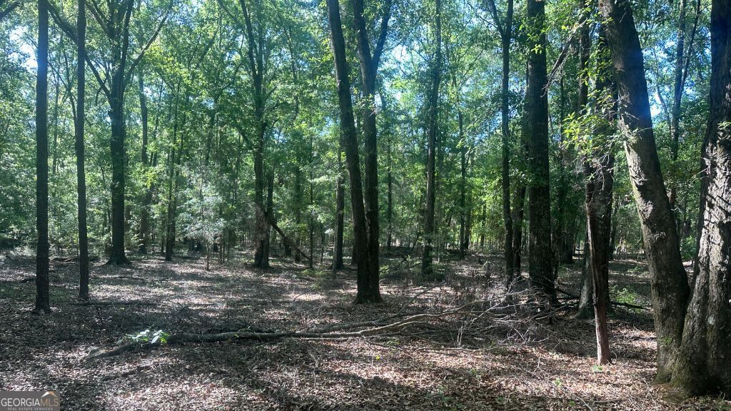 9 Country Club Road Sylvania GA 30467