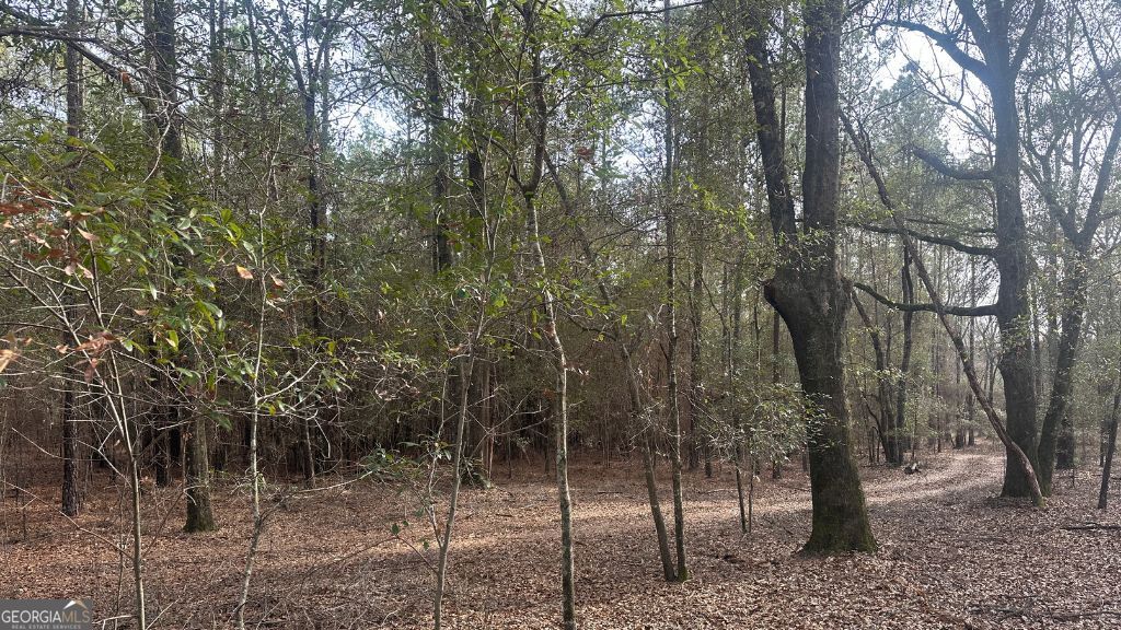 9 Country Club Road Sylvania GA 30467
