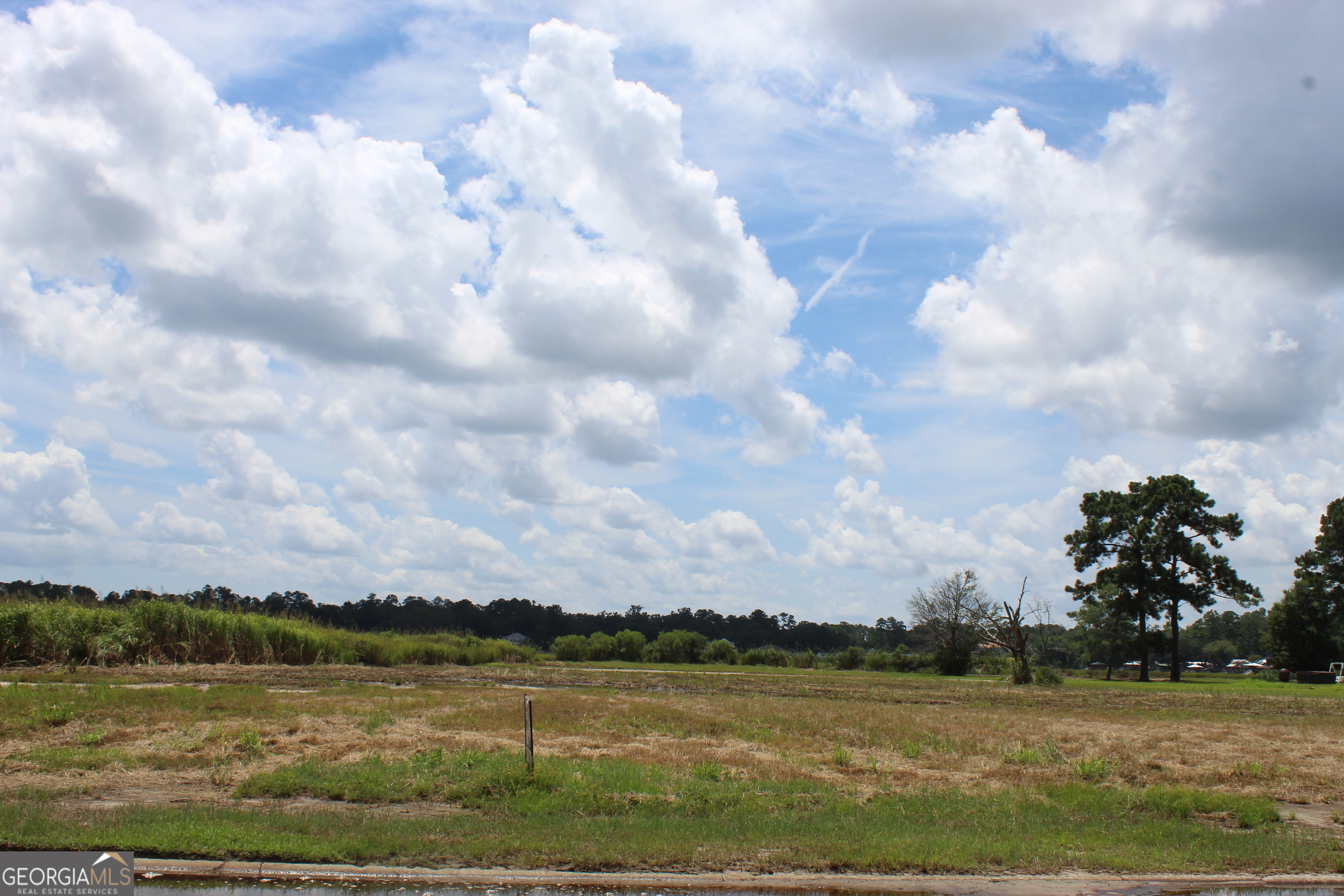 0 Jerico Marsh Road Midway GA 31320