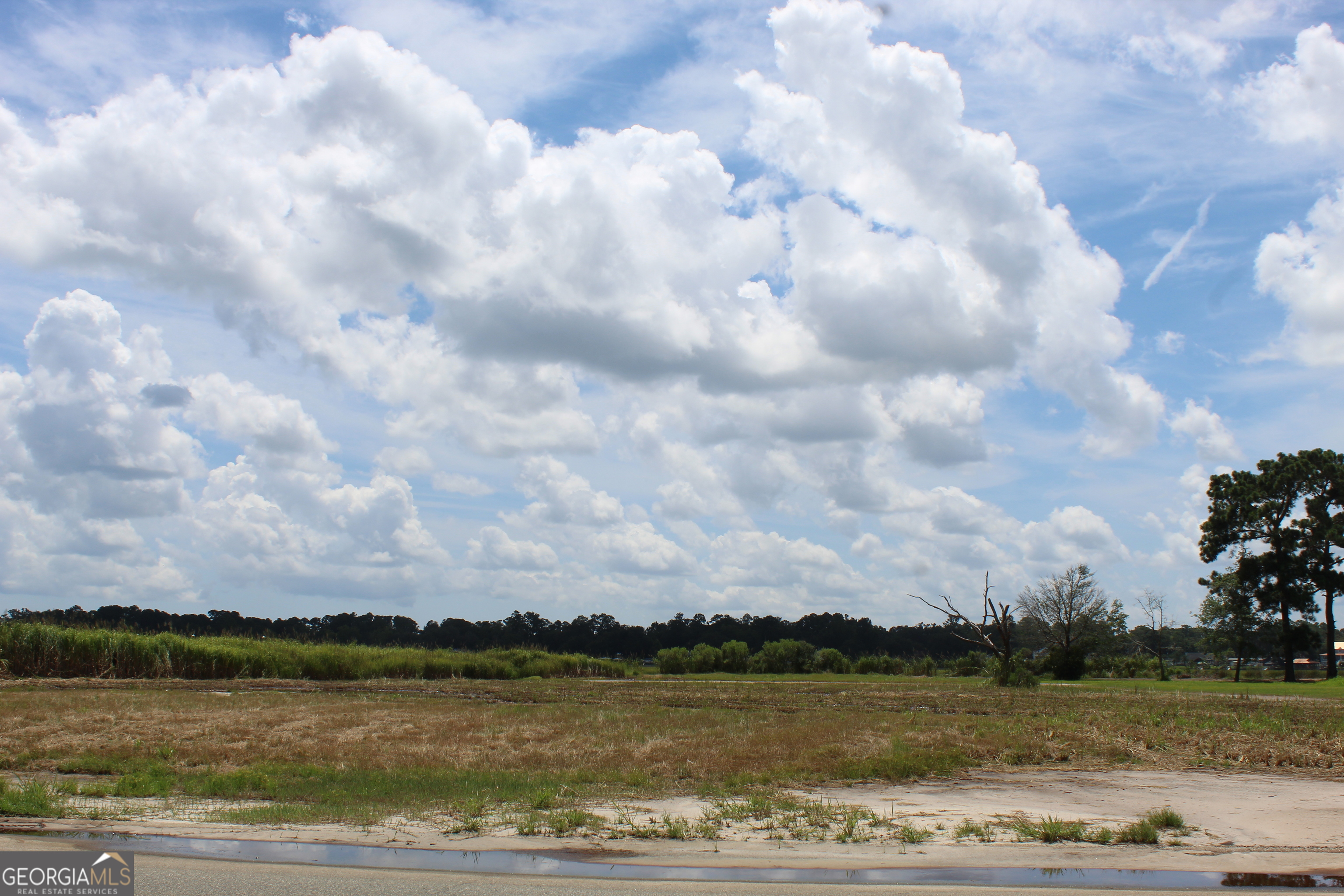 0 Jerico Marsh Road Midway GA 31320