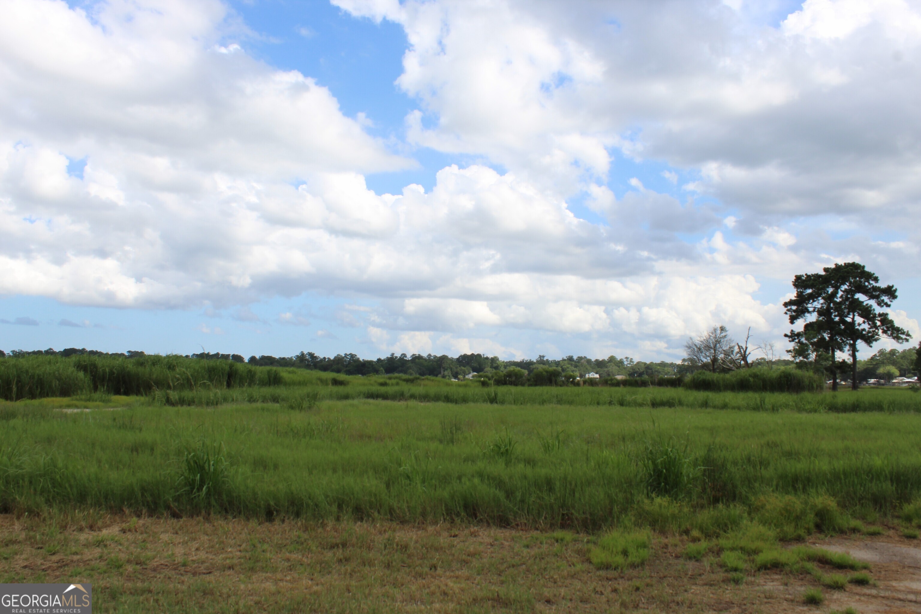 0 Jerico Marsh Road Midway GA 31320