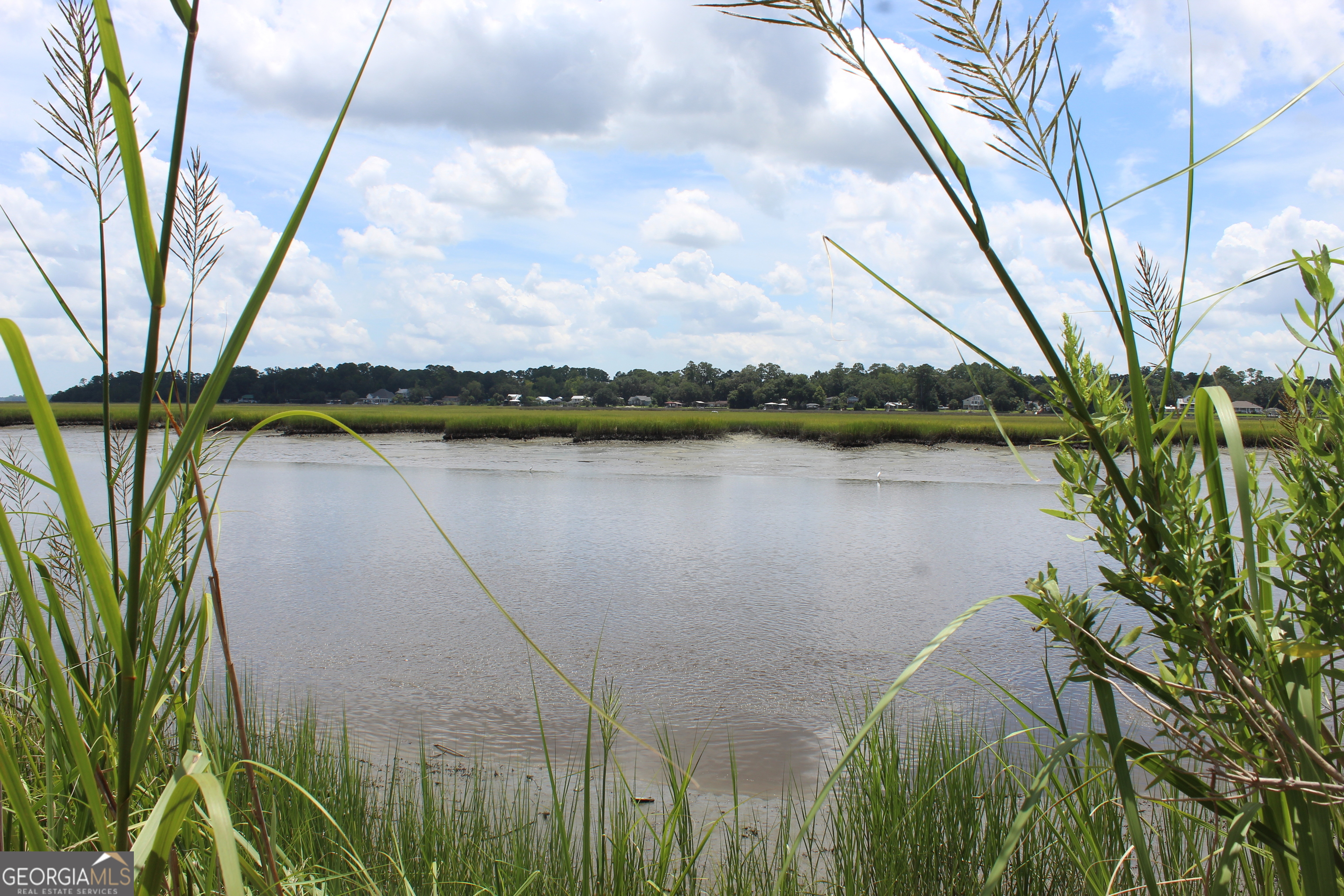 0 Jerico Marsh Road Midway GA 31320