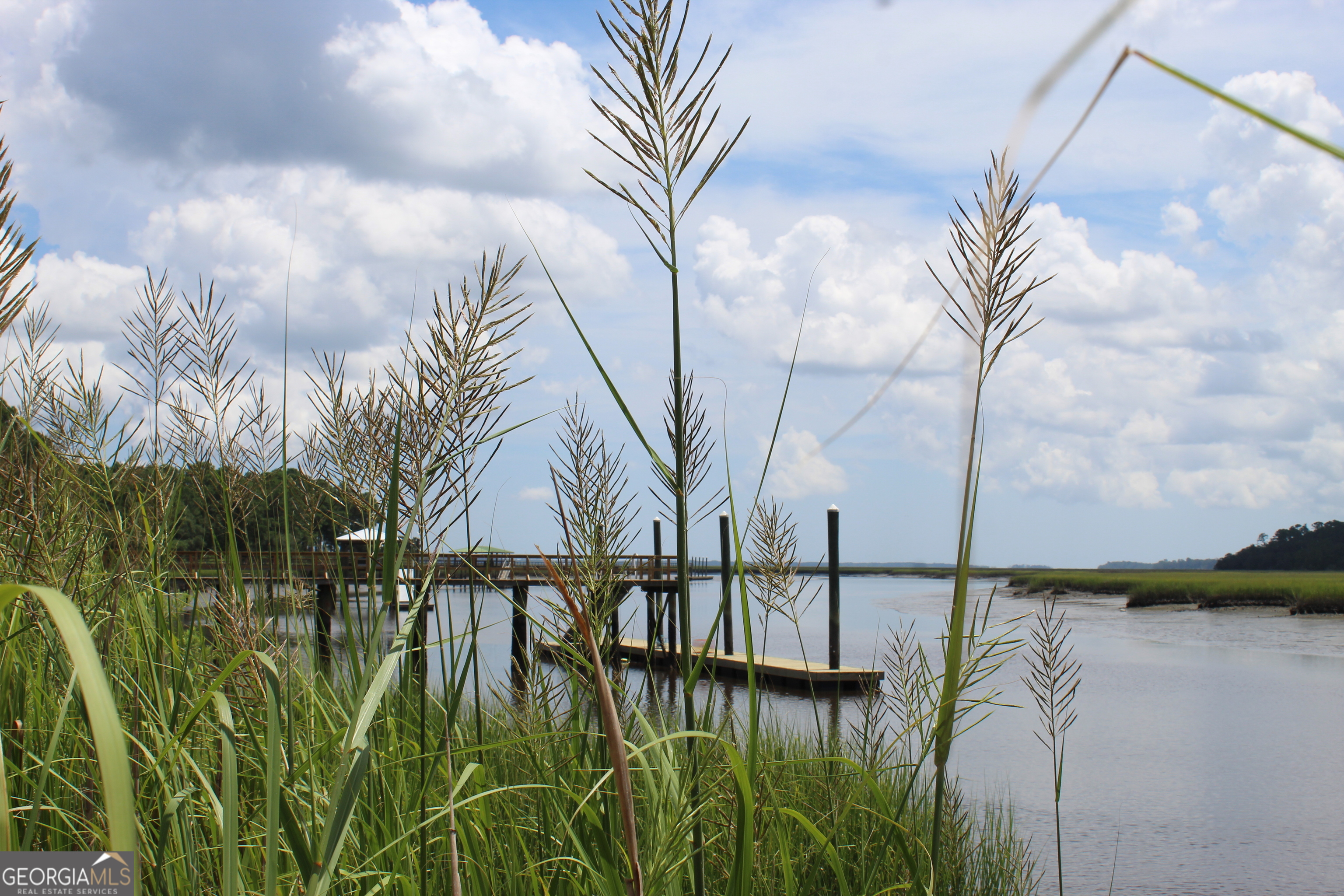 0 Jerico Marsh Road Midway GA 31320