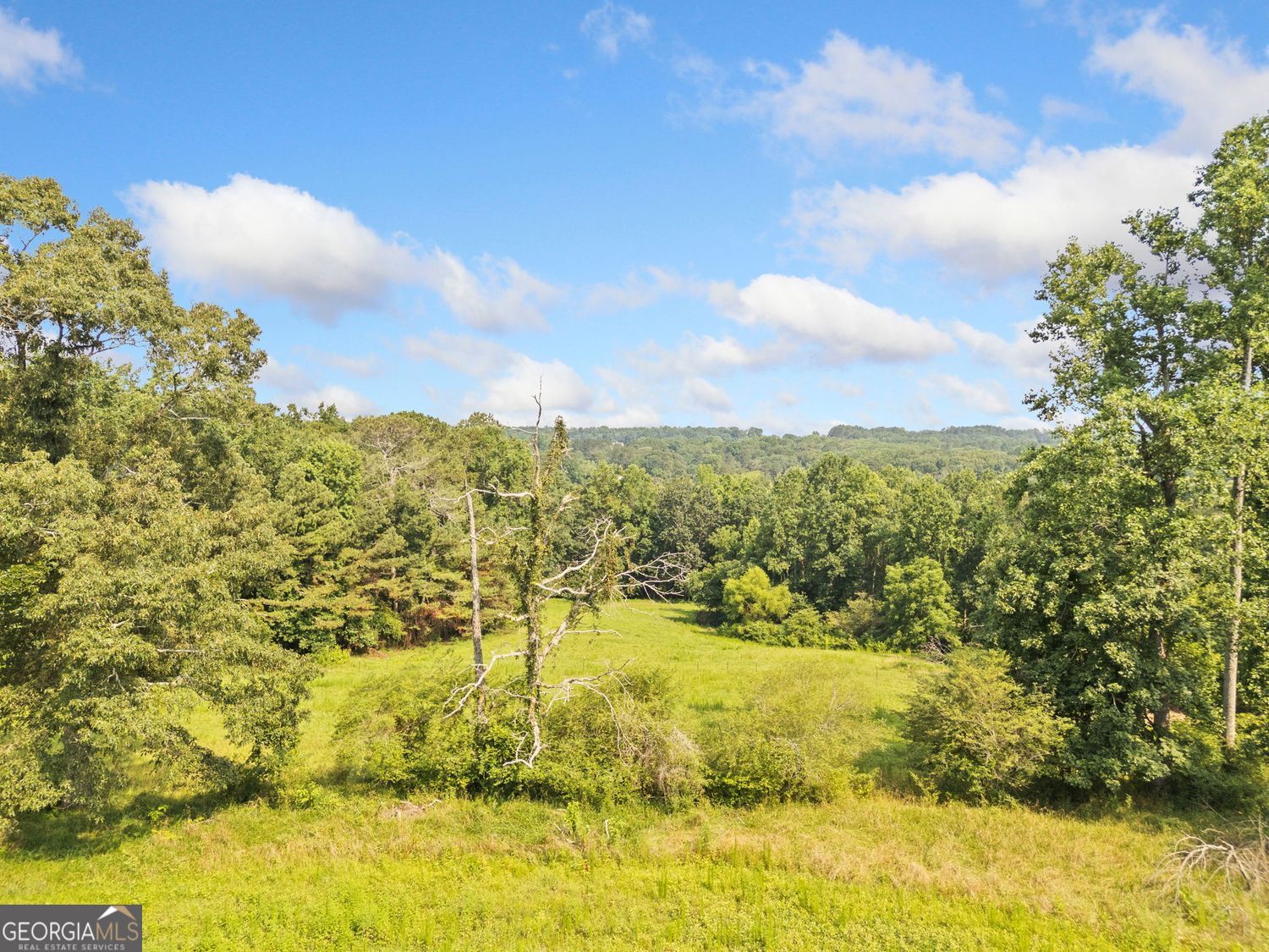 187 Long Road Ball Ground GA 30107