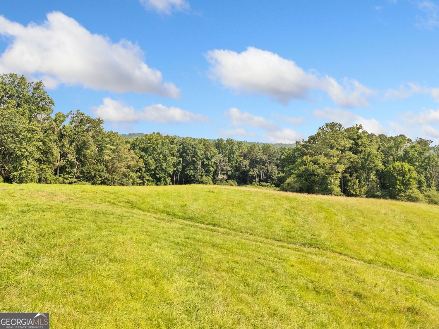 187 Long Road Ball Ground GA 30107
