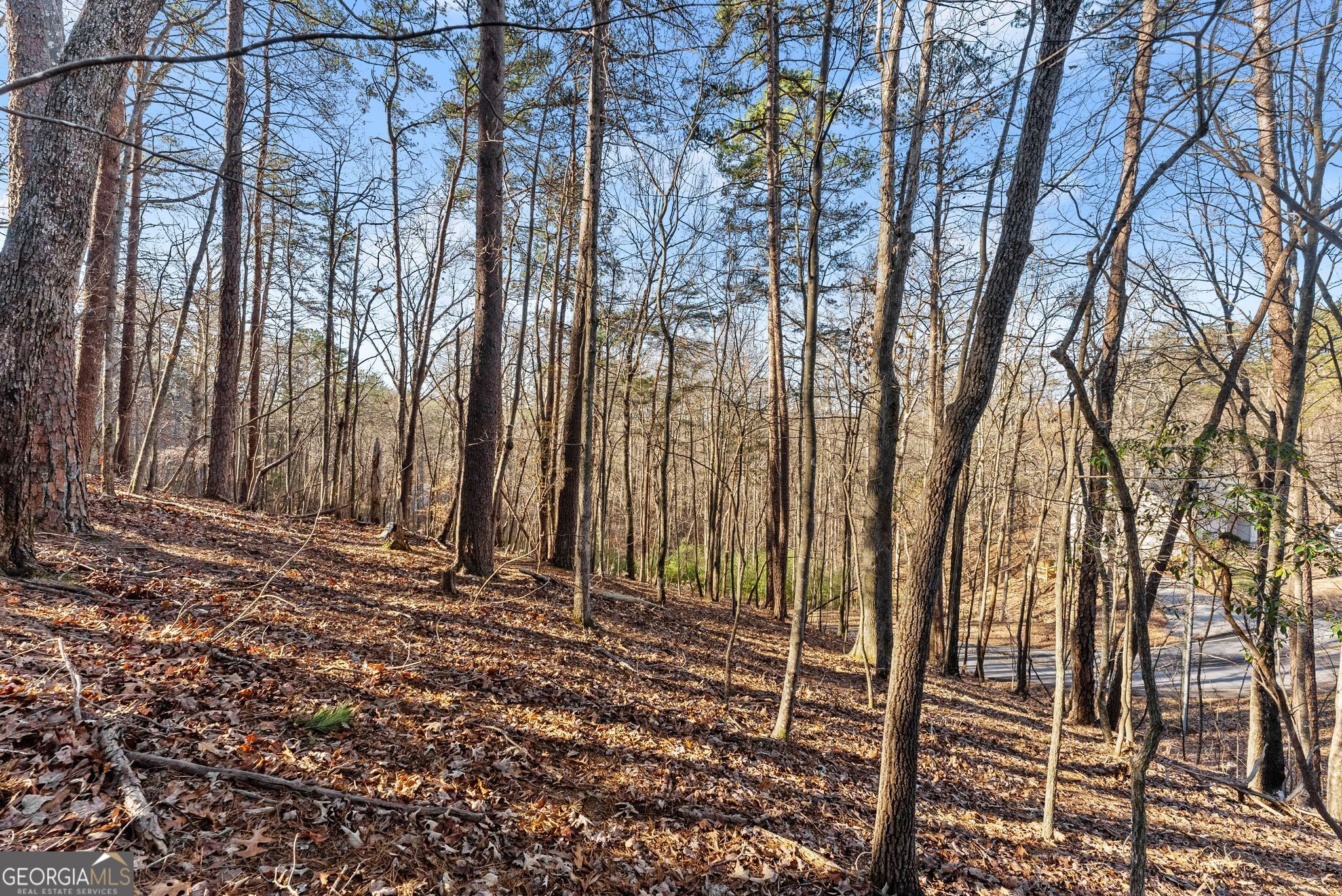 0 Golden Lot 3 Avenue Dahlonega GA 30533