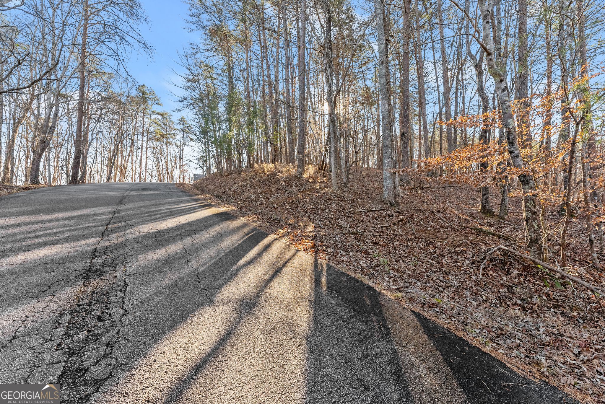 0 Golden Lot 3 Avenue Dahlonega GA 30533