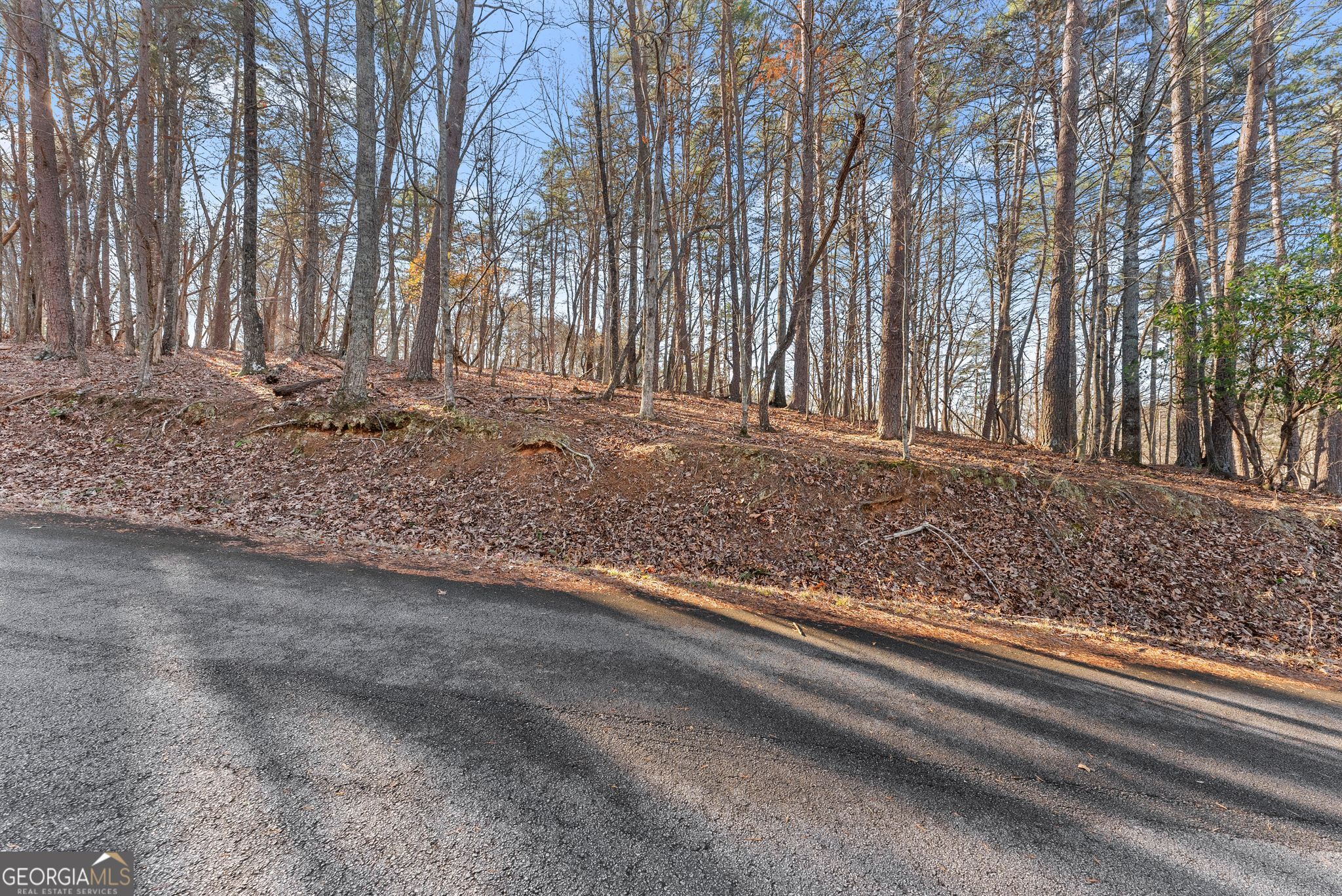 0 Golden Lot 3 Avenue Dahlonega GA 30533