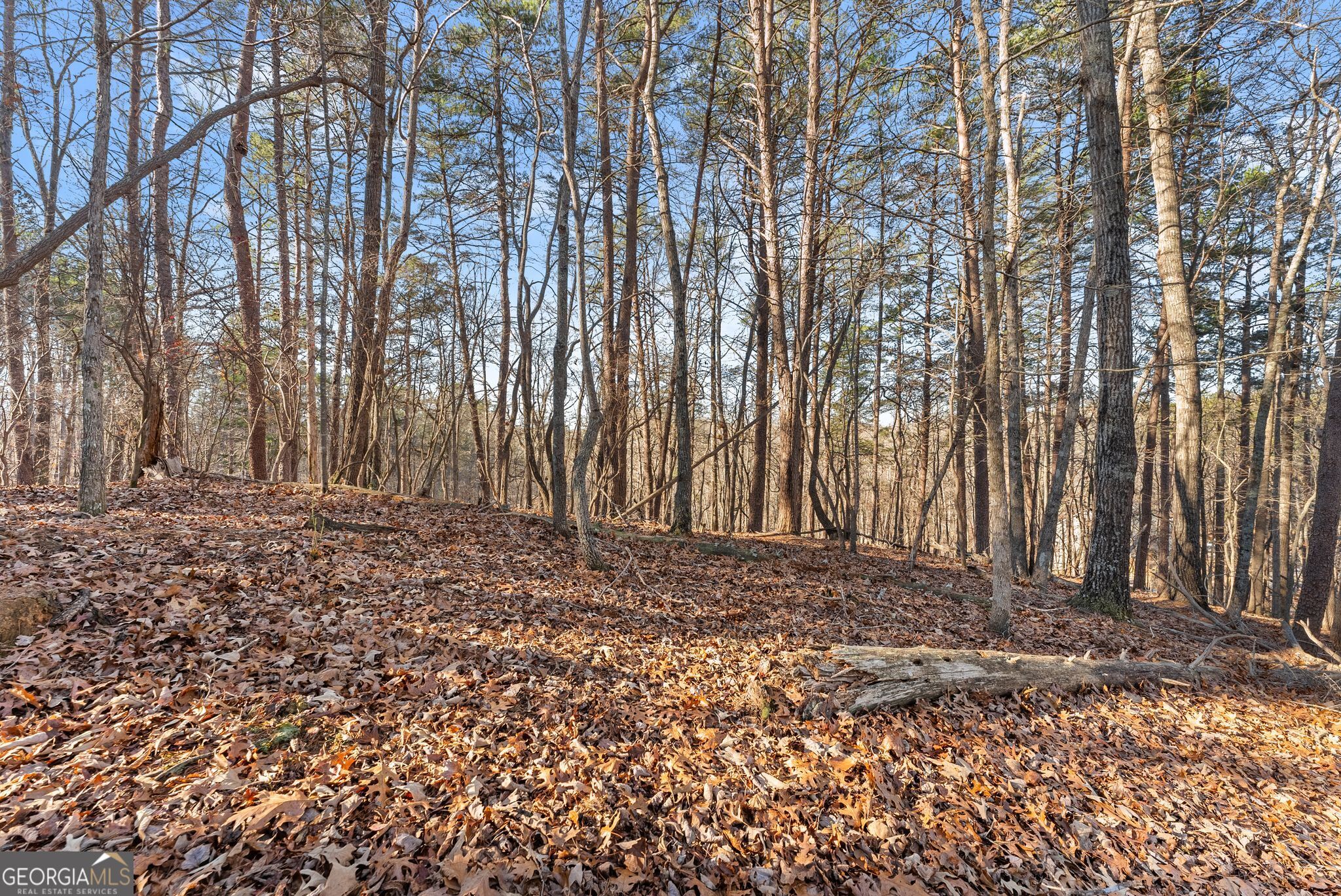 0 Golden Lot 3 Avenue Dahlonega GA 30533