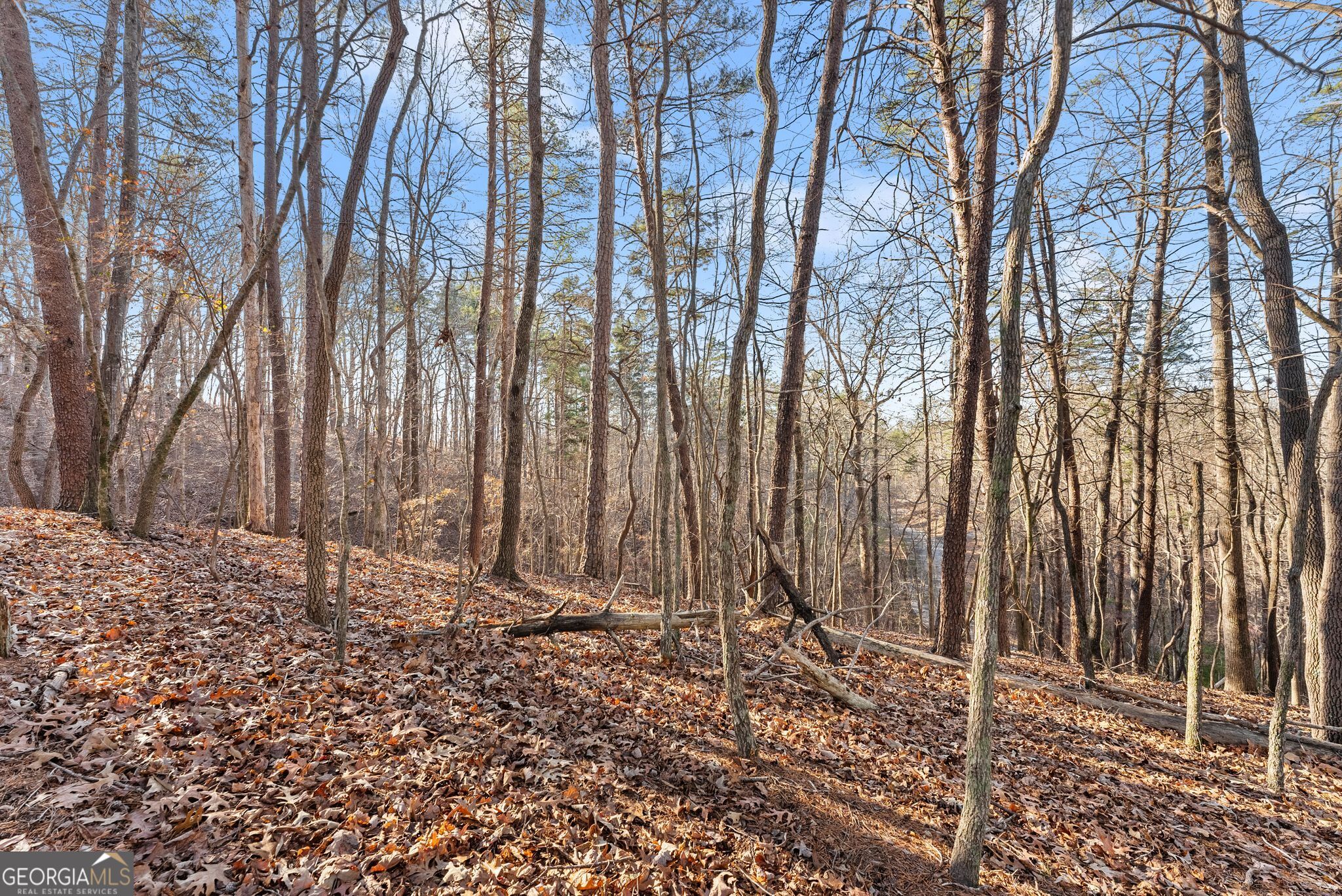 0 Golden Lot 3 Avenue Dahlonega GA 30533