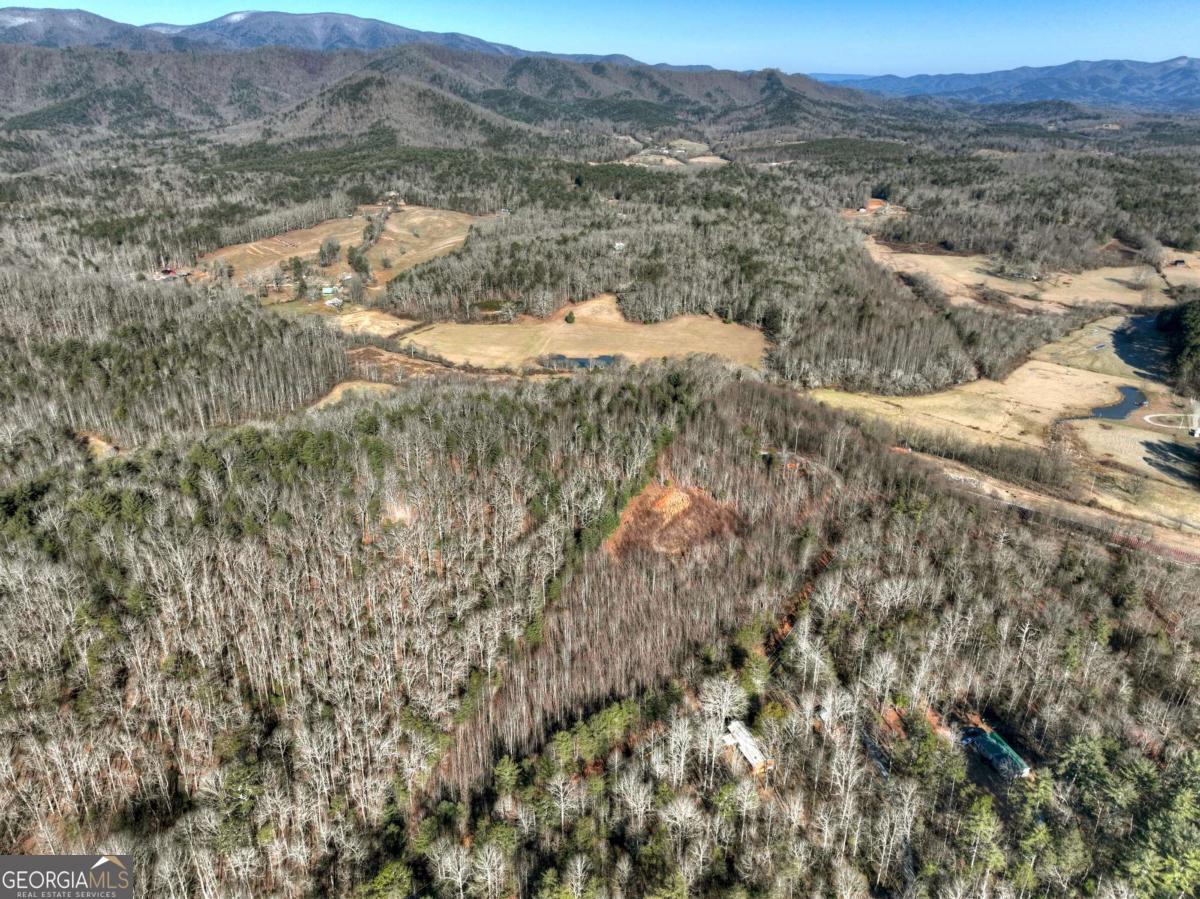 Lt 131 & 132 Pack Creek Road Blue Ridge GA 30513