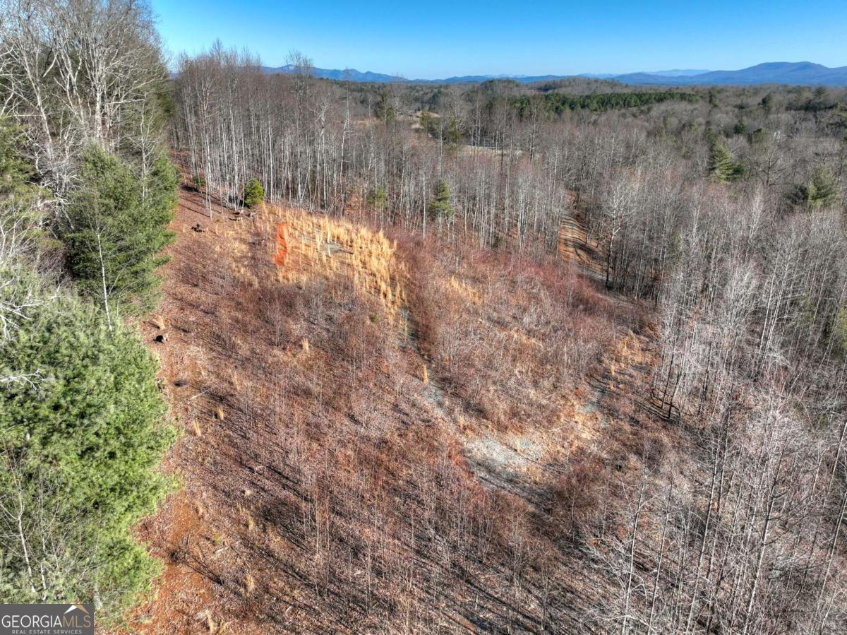 Lt 131 & 132 Pack Creek Road Blue Ridge GA 30513
