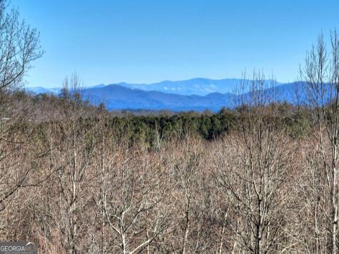 Lt 131 & 132 Pack Creek Road Blue Ridge GA 30513