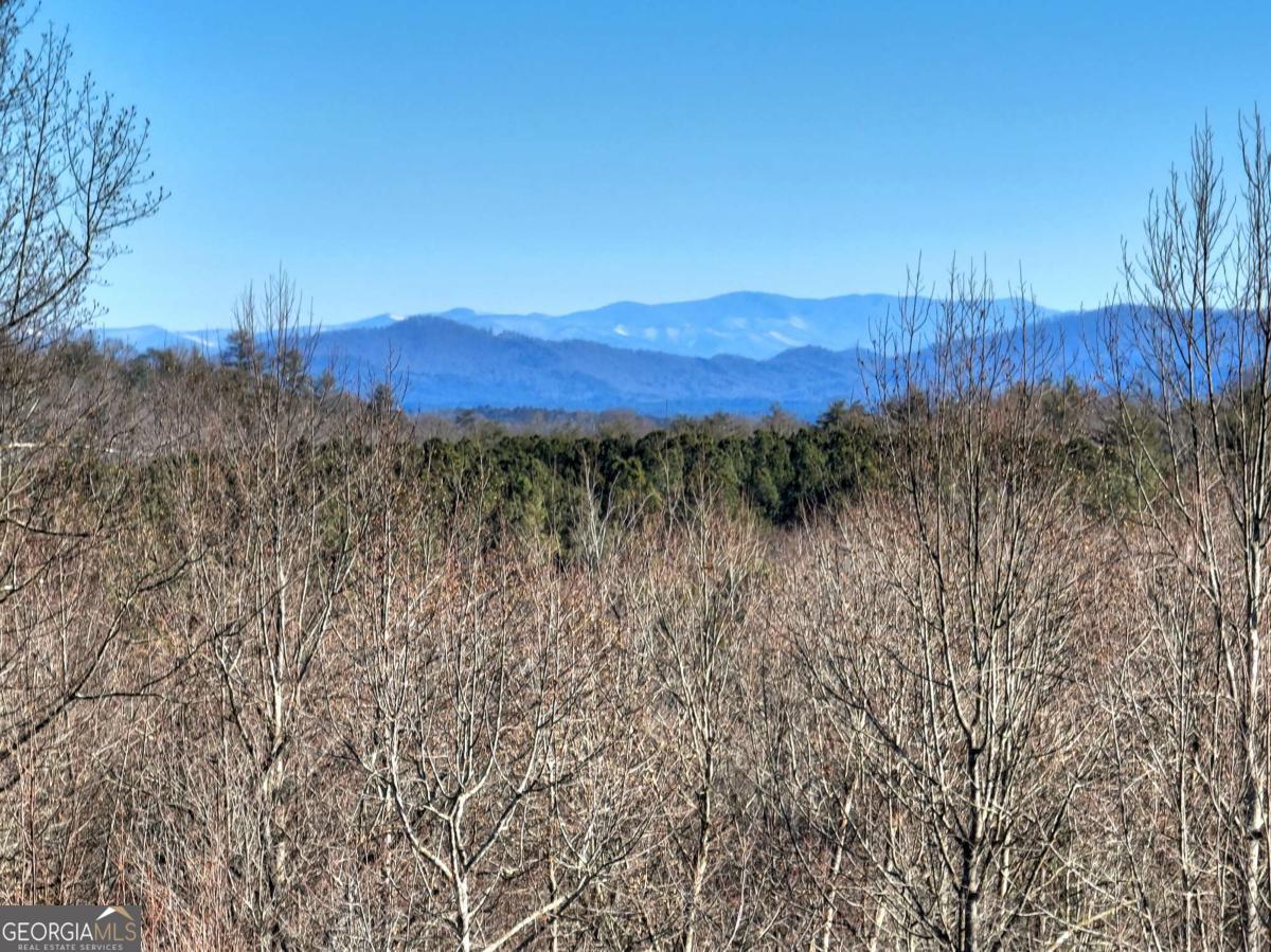 Lt 131 & 132 Pack Creek Road Blue Ridge GA 30513