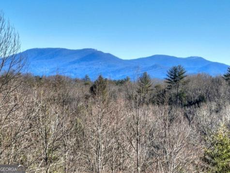 Lt 131 & 132 Pack Creek Road Blue Ridge GA 30513