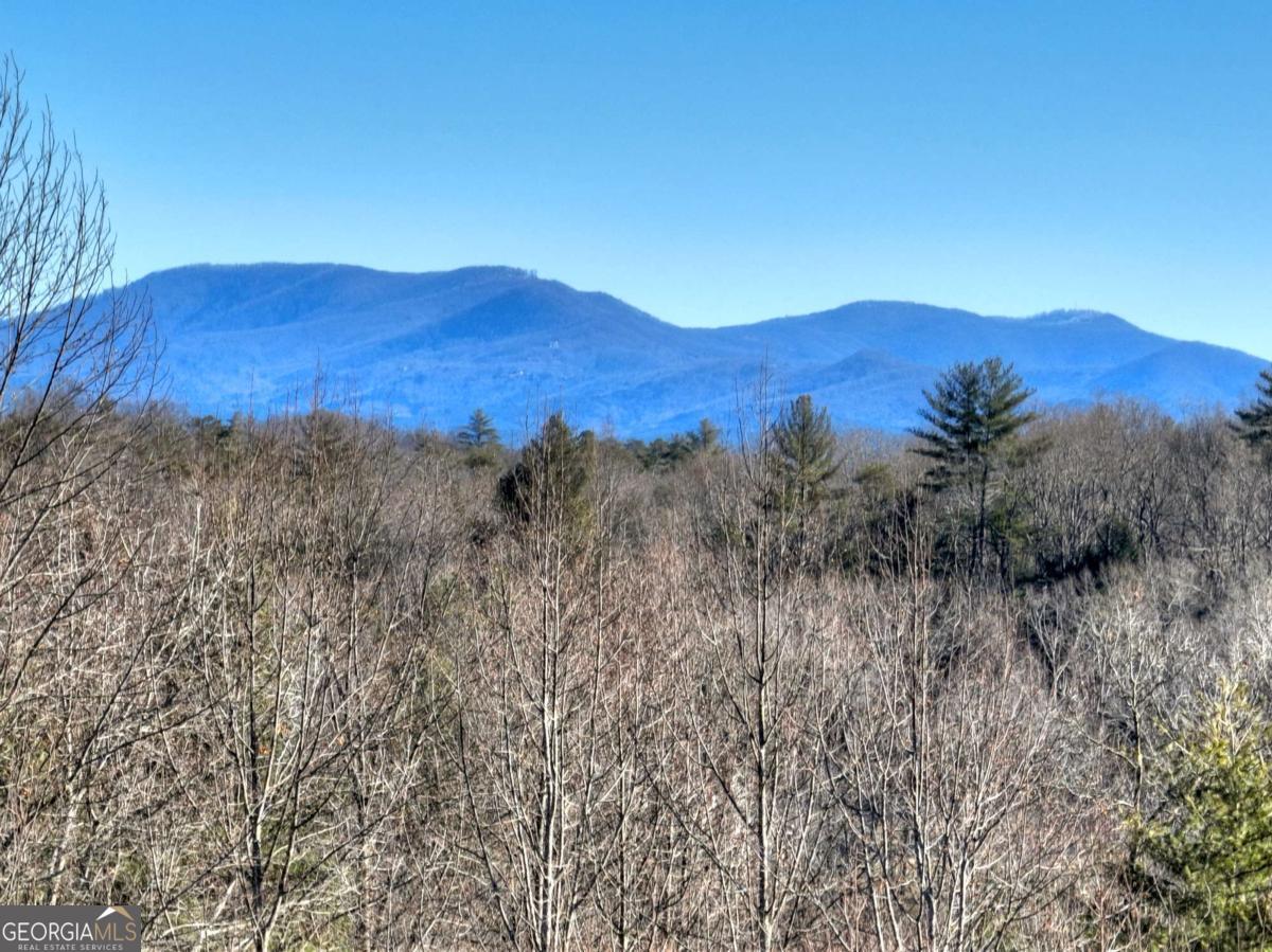 Lt 131 & 132 Pack Creek Road Blue Ridge GA 30513
