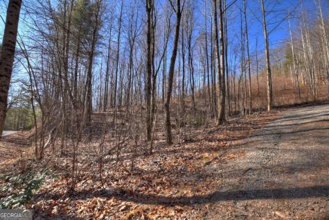 Lt 131 & 132 Pack Creek Road Blue Ridge GA 30513