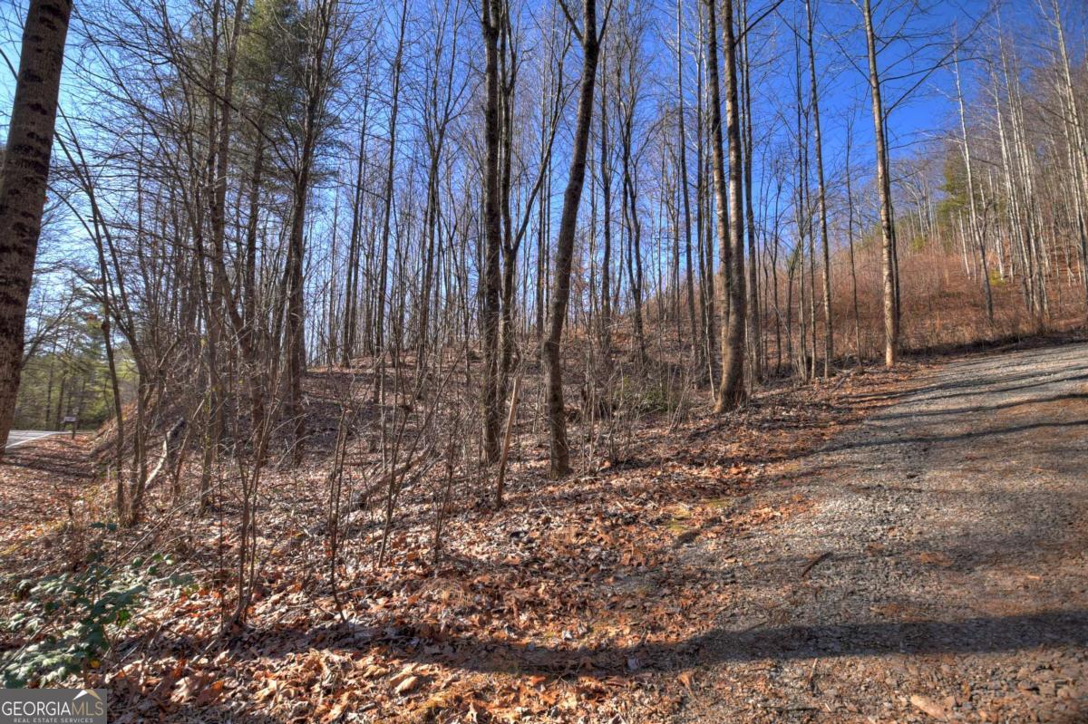 Lt 131 & 132 Pack Creek Road Blue Ridge GA 30513