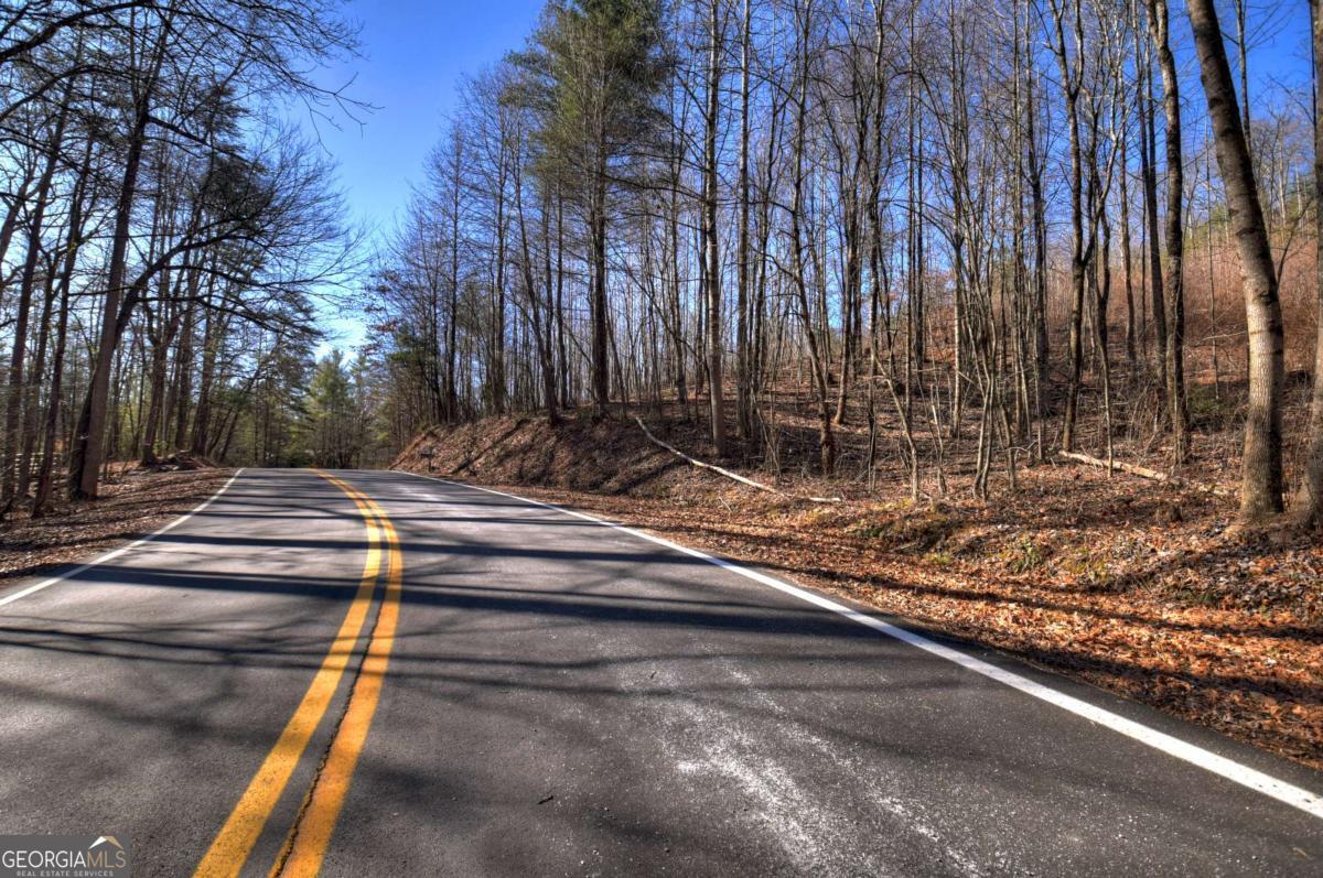 Lt 131 & 132 Pack Creek Road Blue Ridge GA 30513