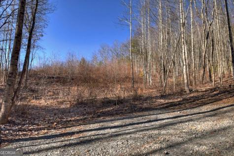 Lt 131 & 132 Pack Creek Road Blue Ridge GA 30513