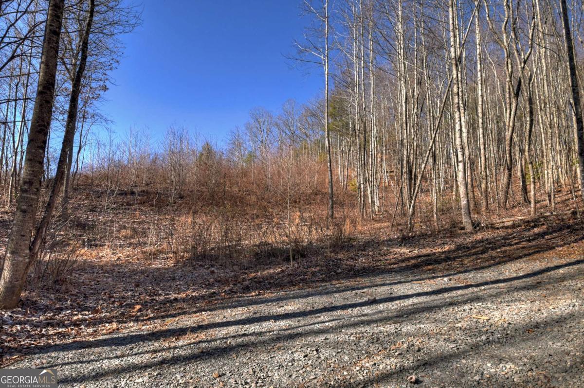 Lt 131 & 132 Pack Creek Road Blue Ridge GA 30513