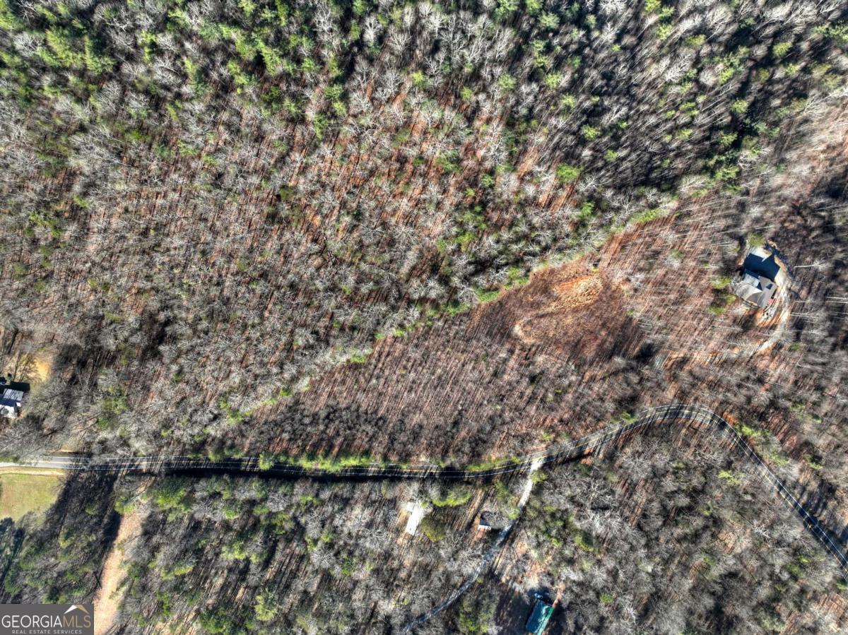 Lt 131 & 132 Pack Creek Road Blue Ridge GA 30513