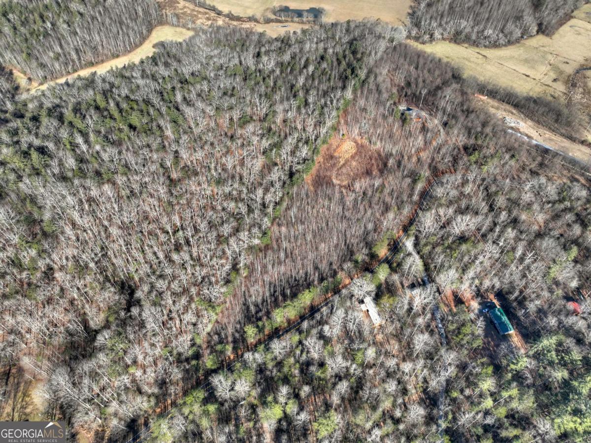 Lt 131 & 132 Pack Creek Road Blue Ridge GA 30513