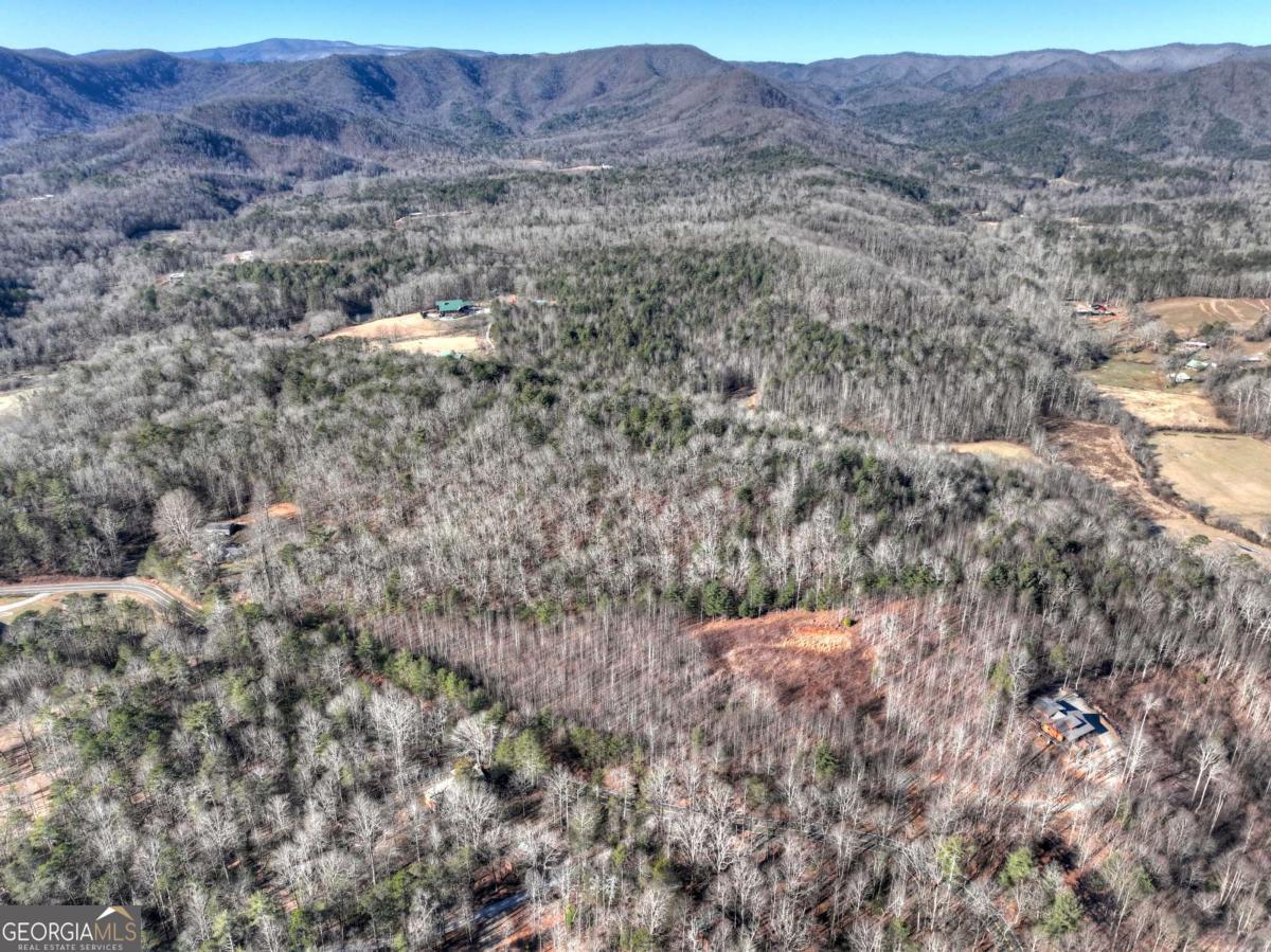 Lt 131 & 132 Pack Creek Road Blue Ridge GA 30513