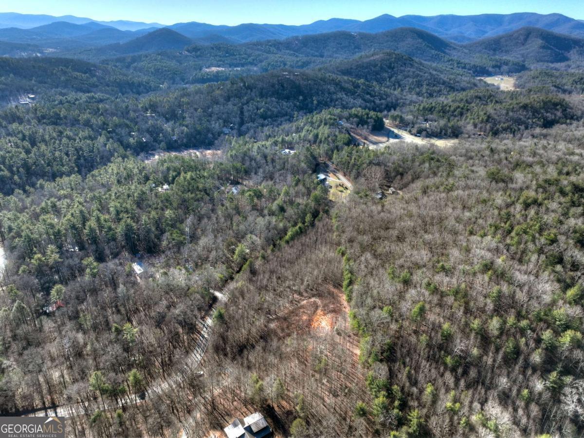 Lt 131 & 132 Pack Creek Road Blue Ridge GA 30513