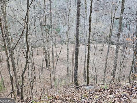 289 Anglers Ridge Road Talking Rock GA 30175