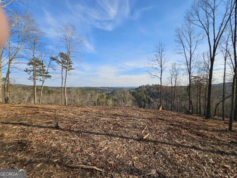 289 Anglers Ridge Road Talking Rock GA 30175