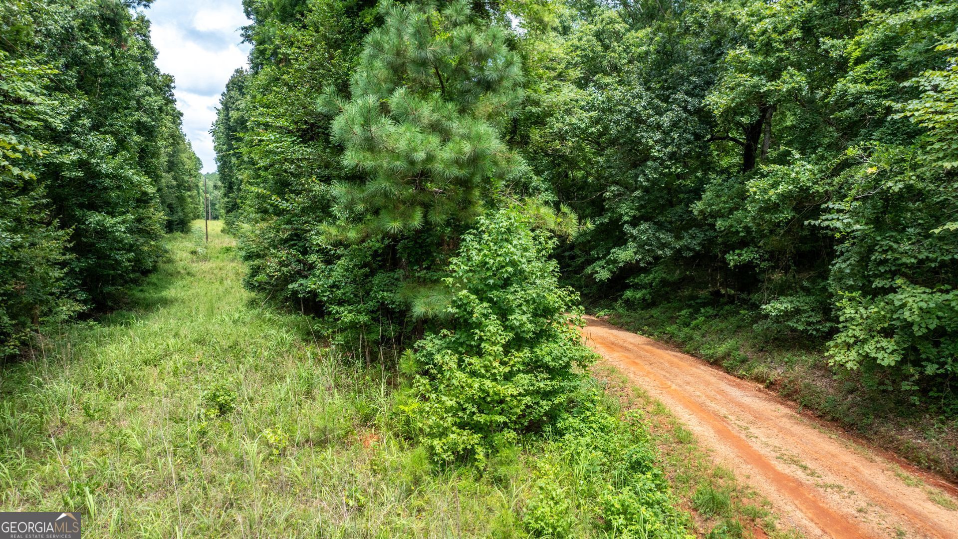 195 Sharon Road Norwood GA 30821