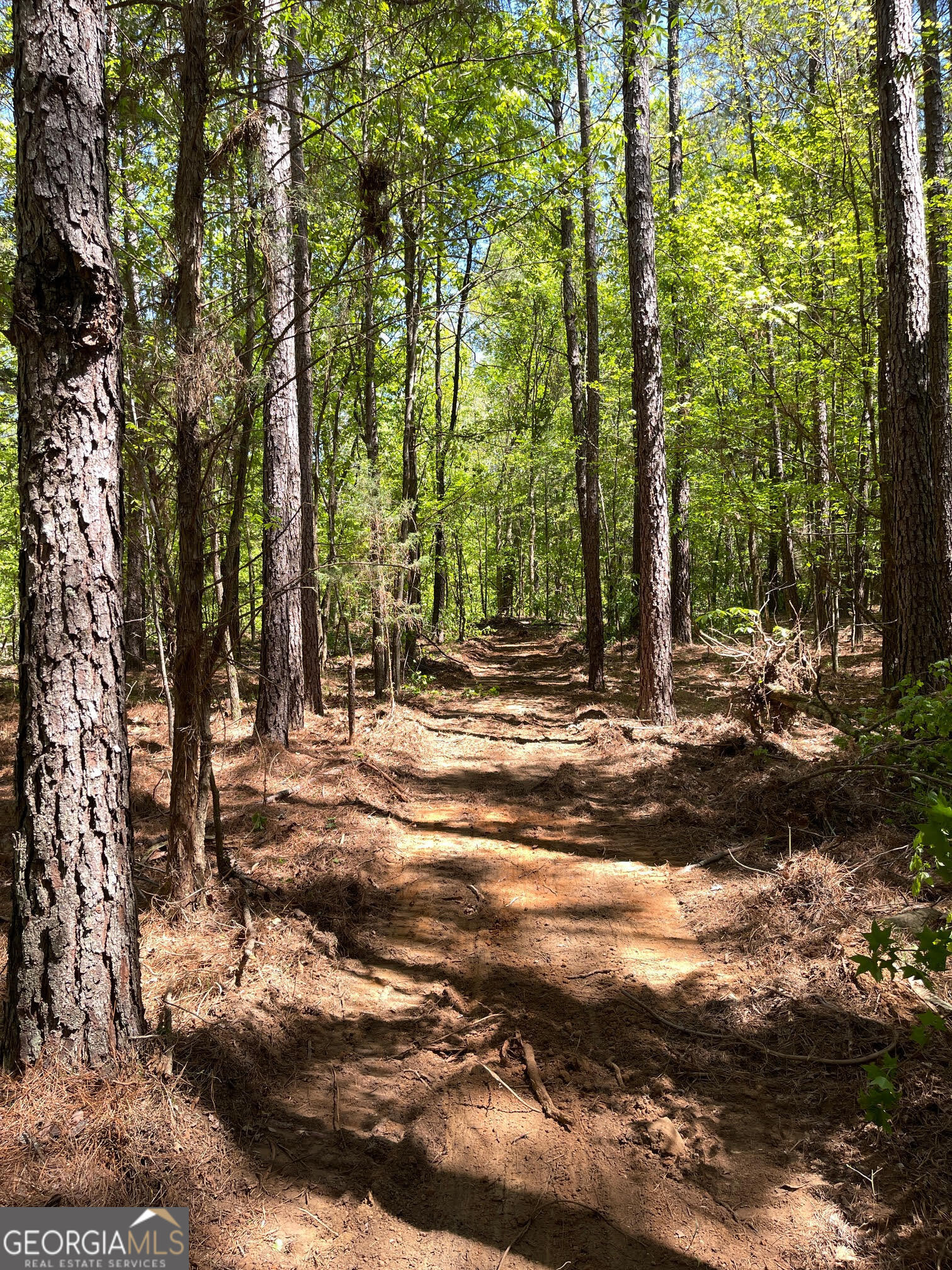 195 Sharon Road Norwood GA 30821