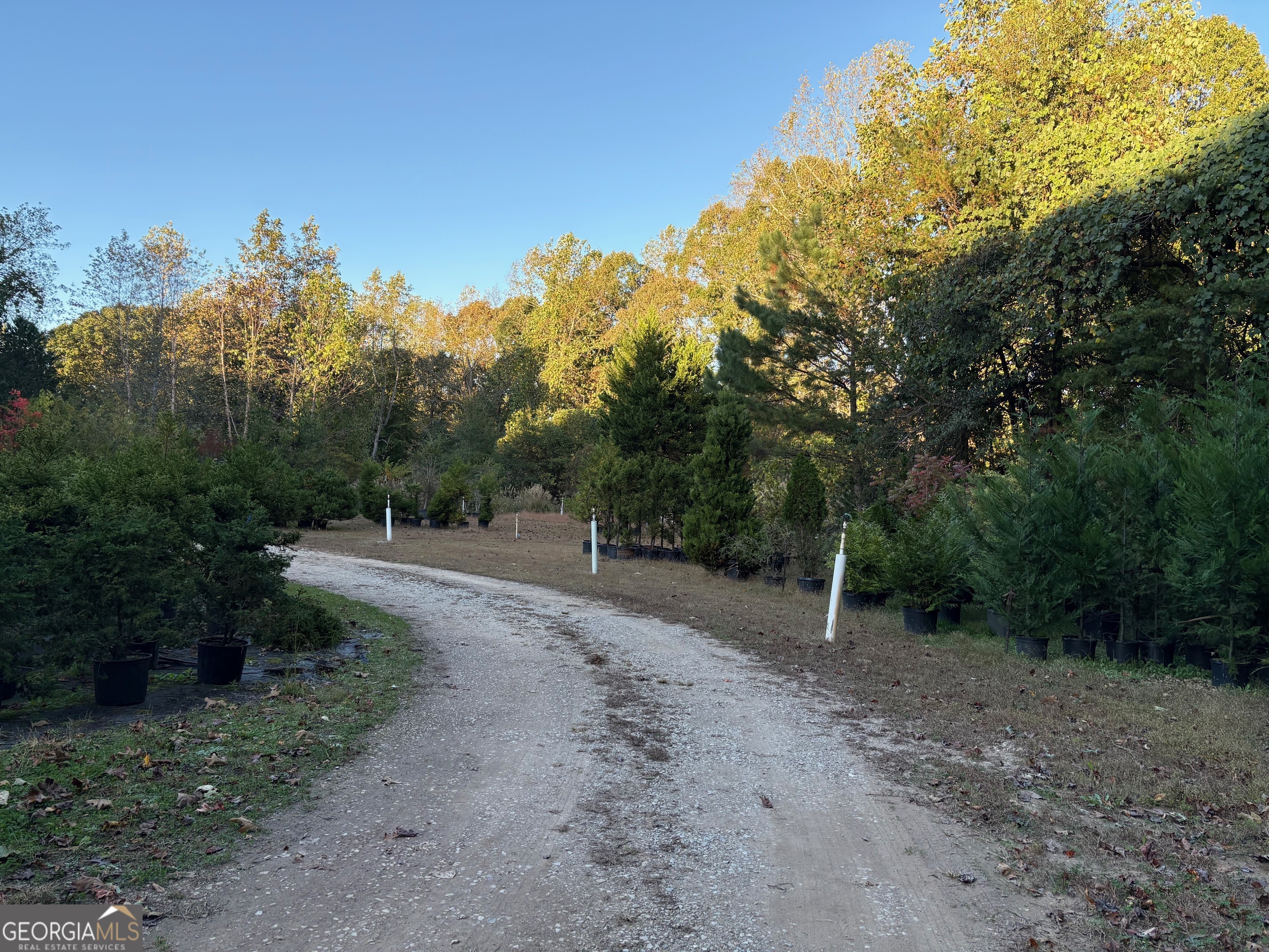 4920 Cagle Mill Road Lula GA 30554