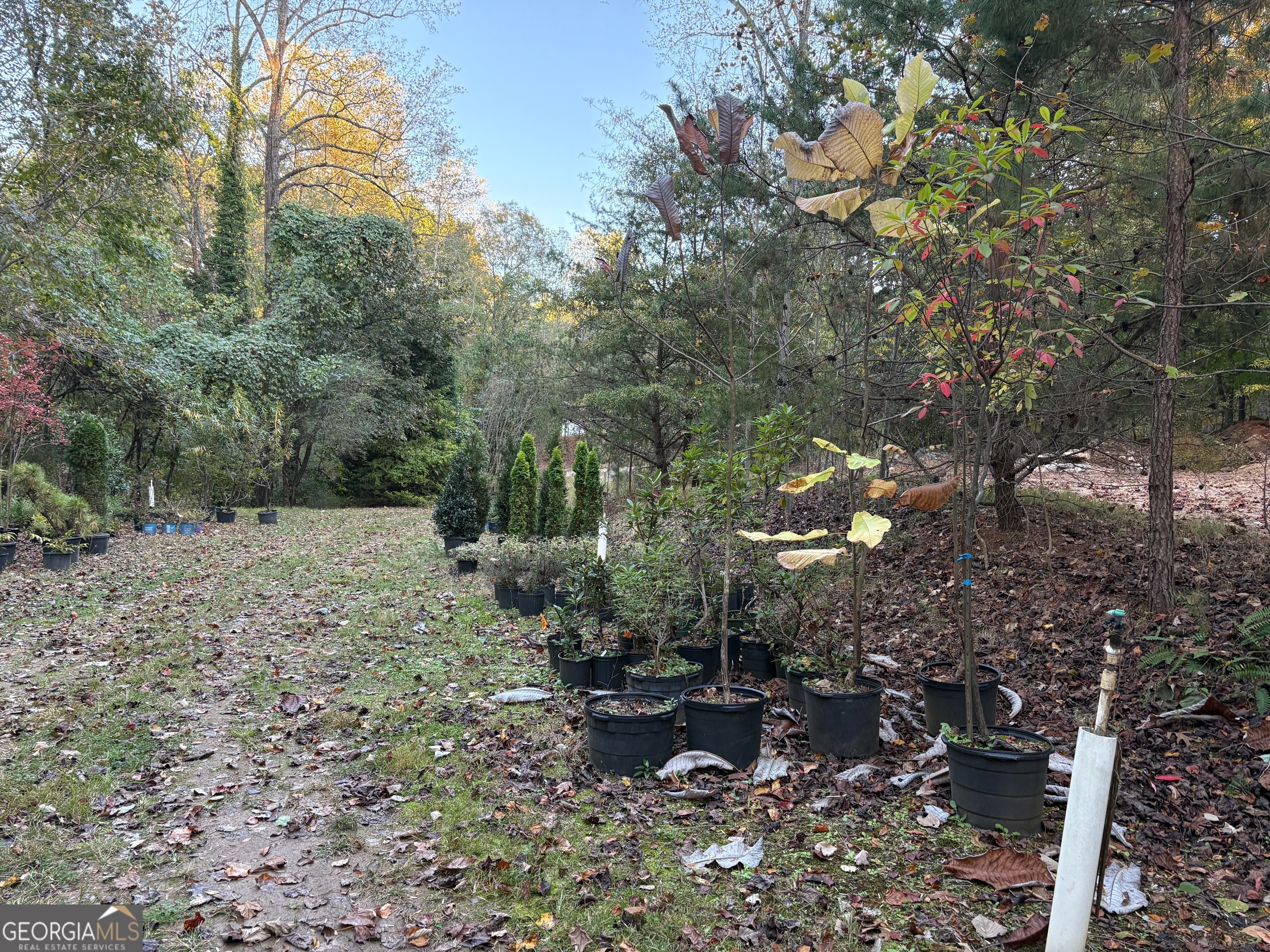 4920 Cagle Mill Road Lula GA 30554