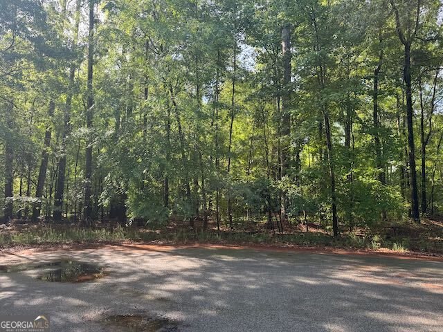 Lot 08 Winchester Way Sandersville GA 31082