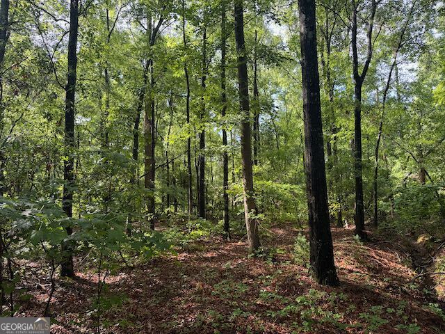 Lot 08 Winchester Way Sandersville GA 31082
