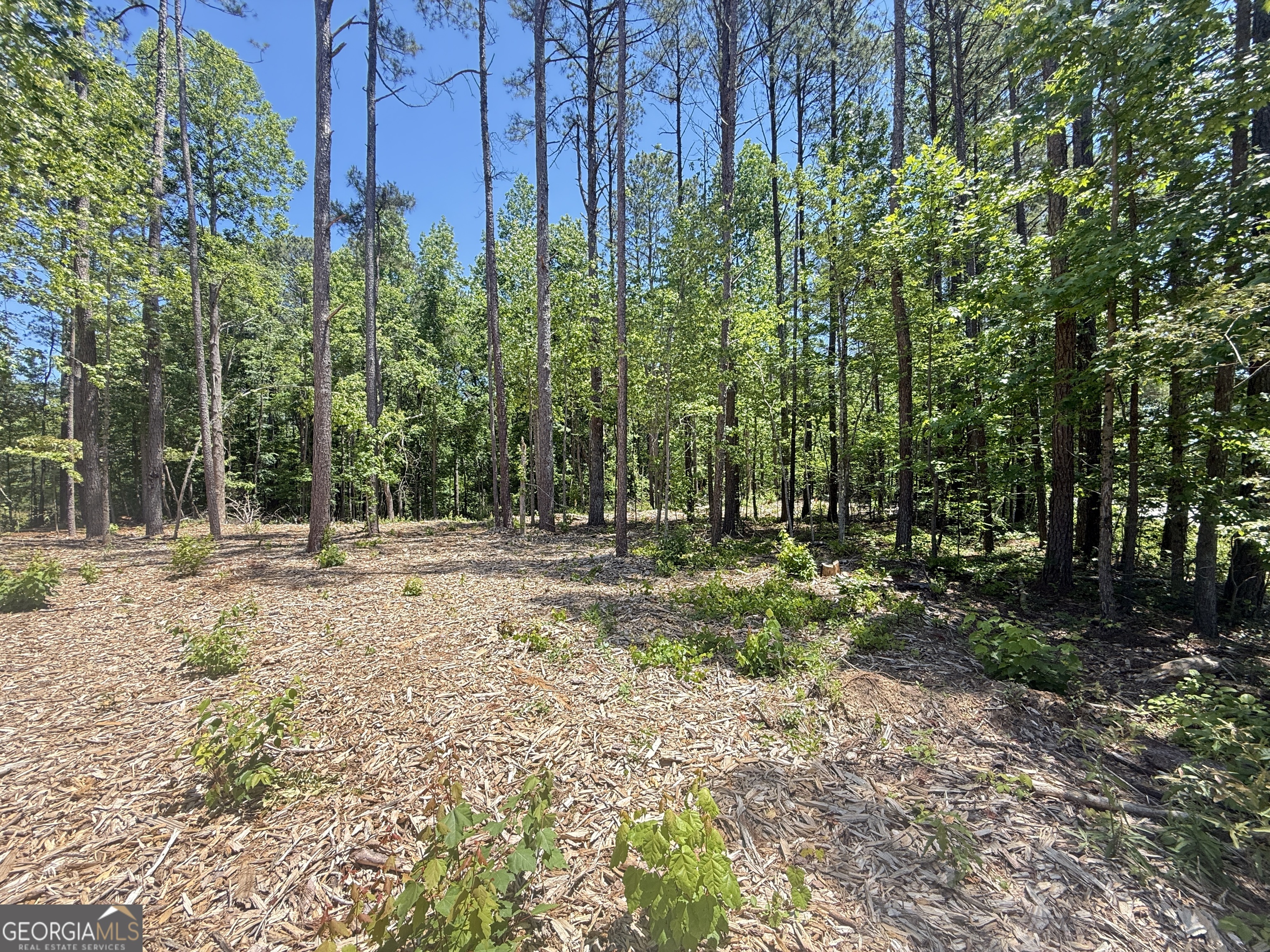 Lots 4 & 5 Pope Road Buchanan GA 30113