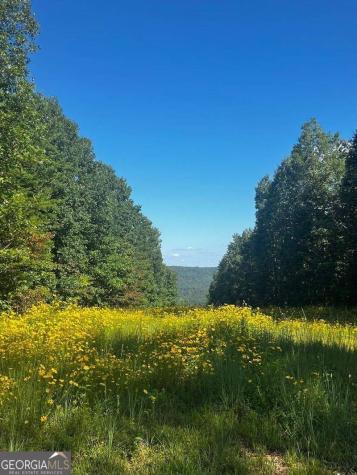 0 Pocket Road Whitwell TN 37397