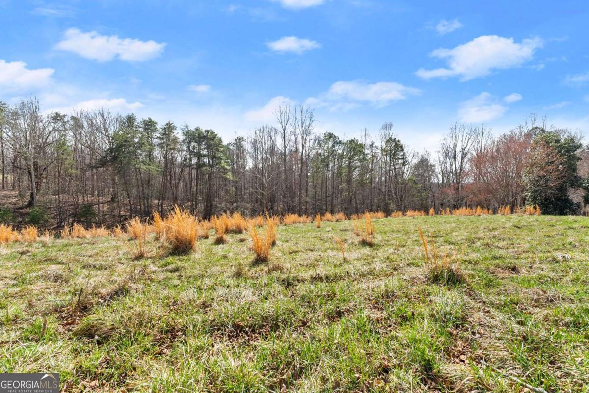 95 Cloudland Park Road Dahlonega GA 30533